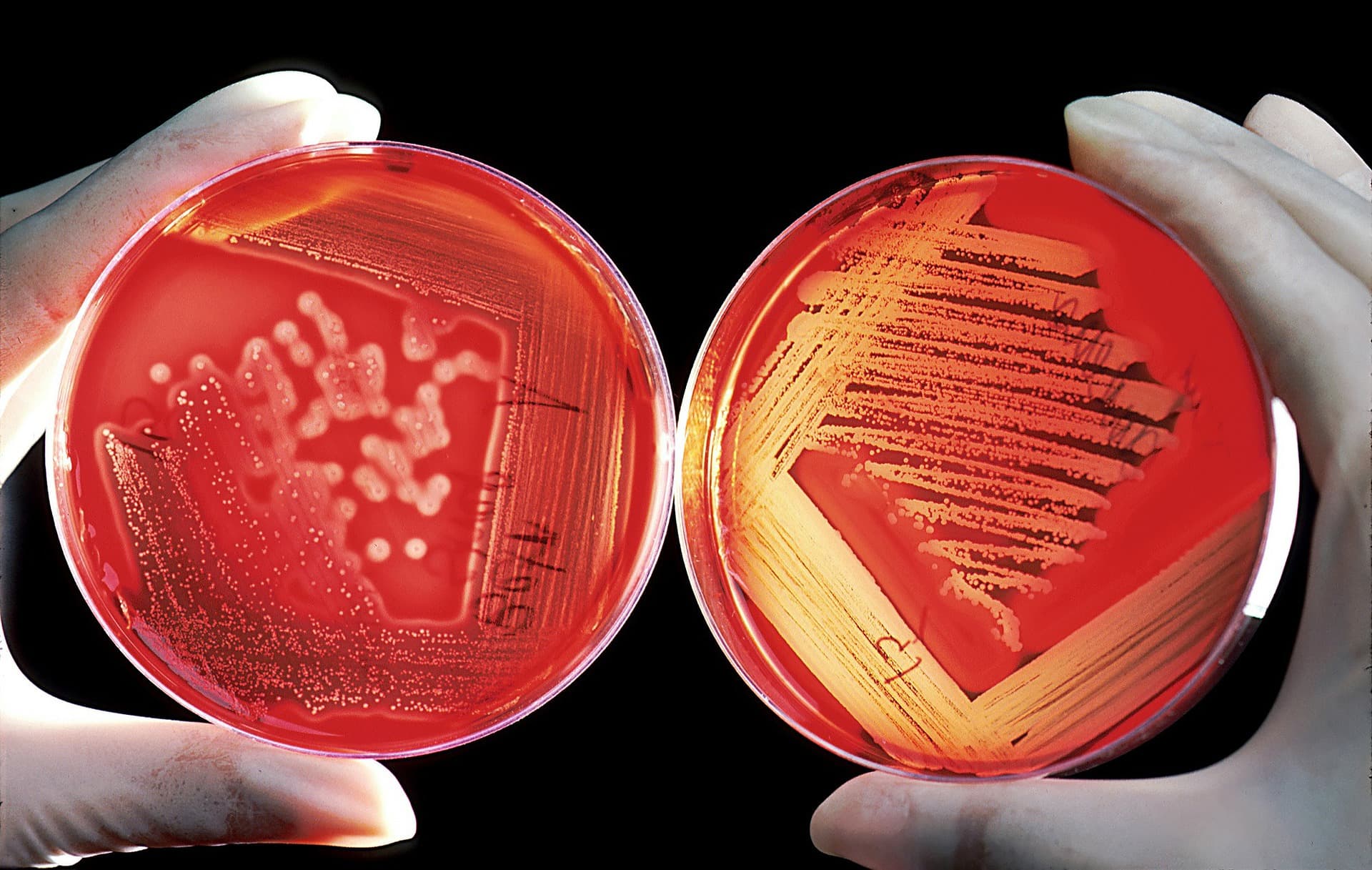 Oxidizing Biocides